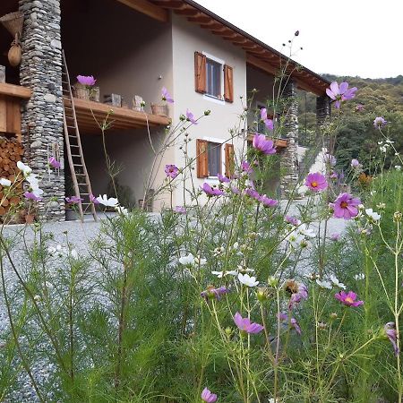 Semi Al Vento: La Bio-Casa Nel Giardino Incantato! Daire Paesana Dış mekan fotoğraf