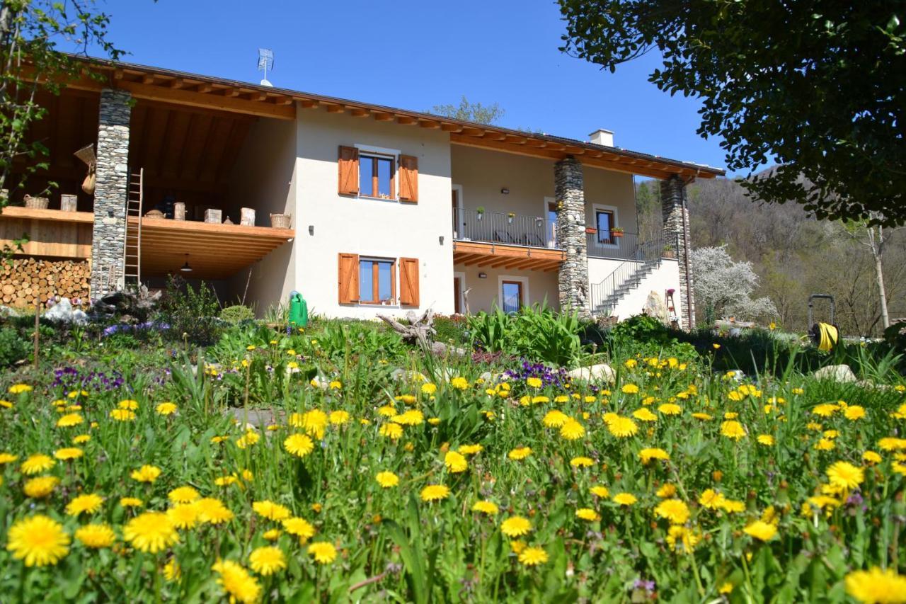 Semi Al Vento: La Bio-Casa Nel Giardino Incantato! Daire Paesana Dış mekan fotoğraf