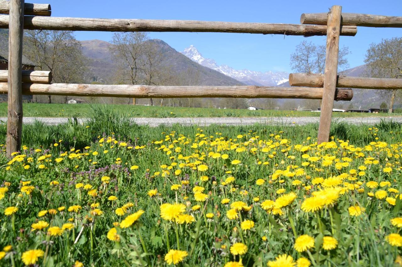 Semi Al Vento: La Bio-Casa Nel Giardino Incantato! Daire Paesana Dış mekan fotoğraf