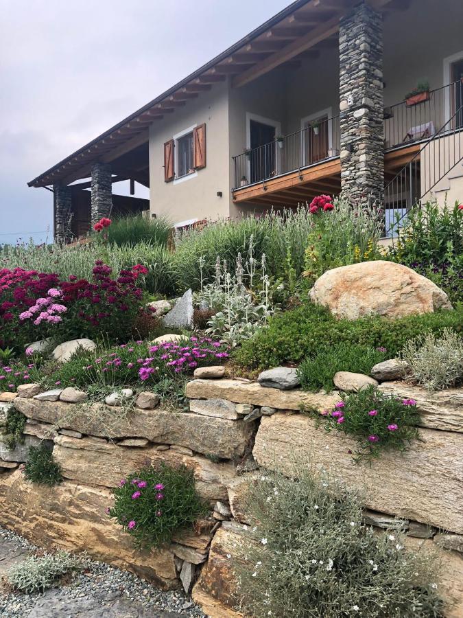 Semi Al Vento: La Bio-Casa Nel Giardino Incantato! Daire Paesana Dış mekan fotoğraf
