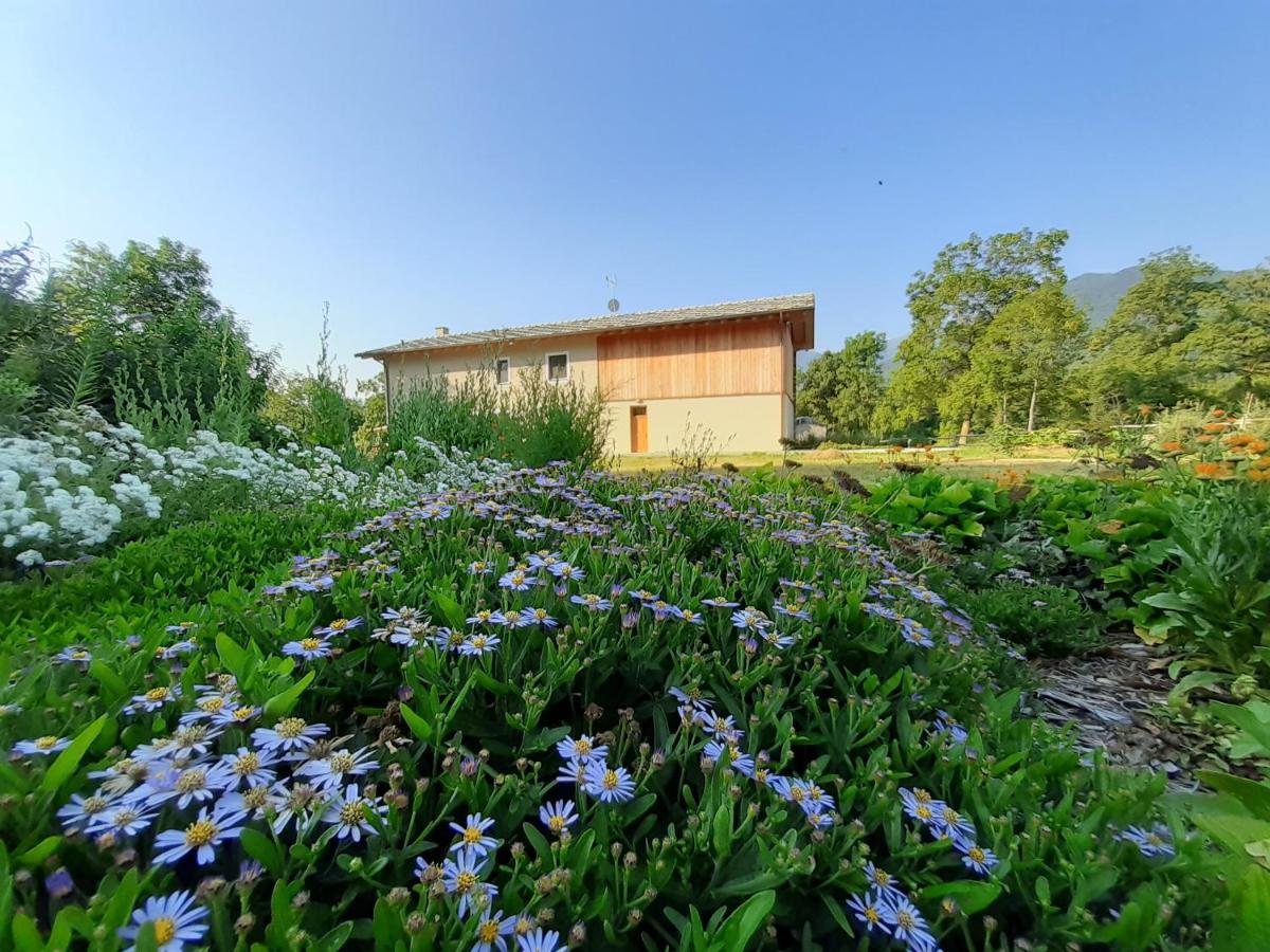 Semi Al Vento: La Bio-Casa Nel Giardino Incantato! Daire Paesana Dış mekan fotoğraf
