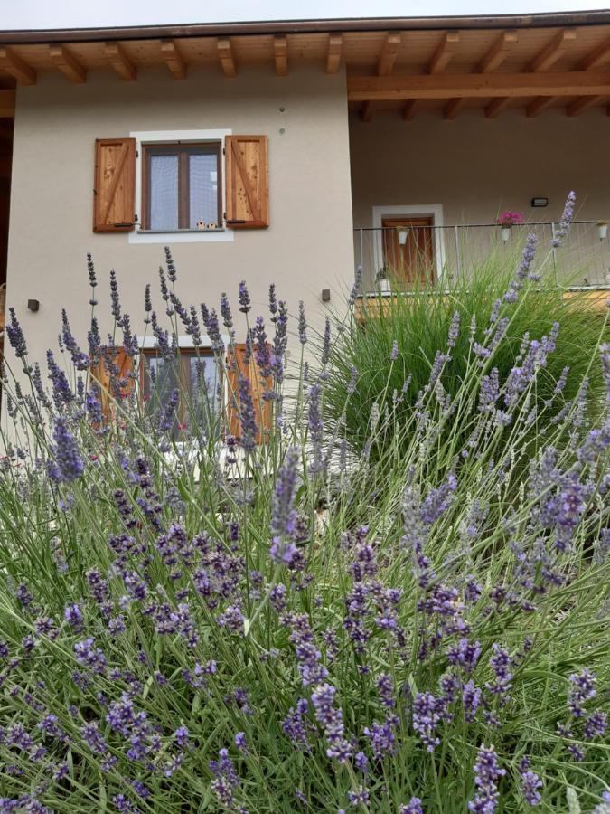 Semi Al Vento: La Bio-Casa Nel Giardino Incantato! Daire Paesana Dış mekan fotoğraf