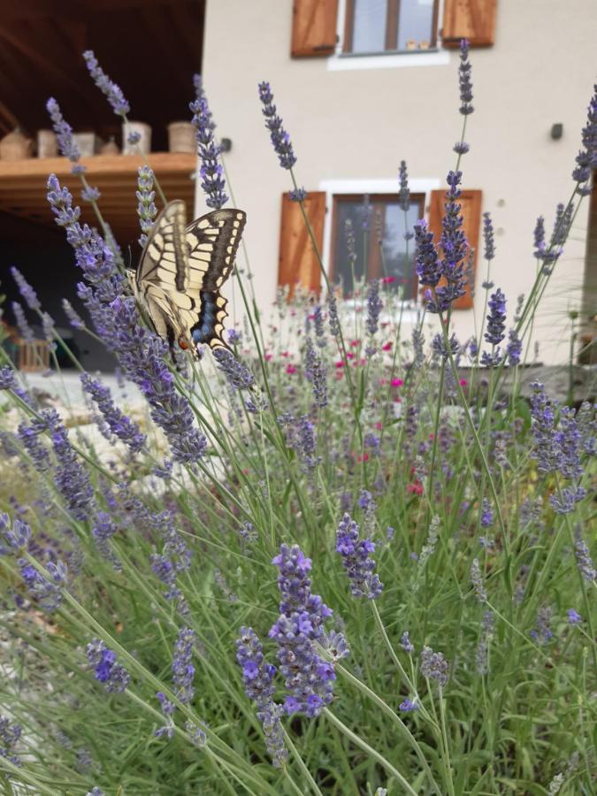 Semi Al Vento: La Bio-Casa Nel Giardino Incantato! Daire Paesana Dış mekan fotoğraf